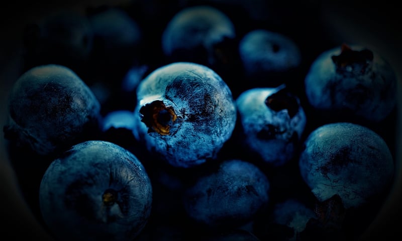 Forest Berry Desserts